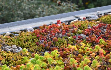 the cost of Aston On Clun green roof installation